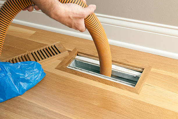 Best Local Air Duct Cleaning Services  in Odessa, FL